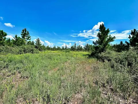 lot11 Rock Crusher Rd, Crawfordville, FL 32327