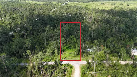 000 NE Blue Springs Church Rd, Lee, FL 32059