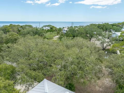 1301 Angus Morrison Rd, Alligator Point, FL 32346 photo 38