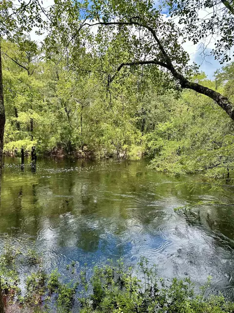 274 Mount Beasor Rd, Sopchoppy, FL 32358