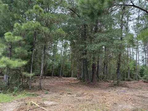 0 E Lake Rd, Quincy, FL 32351