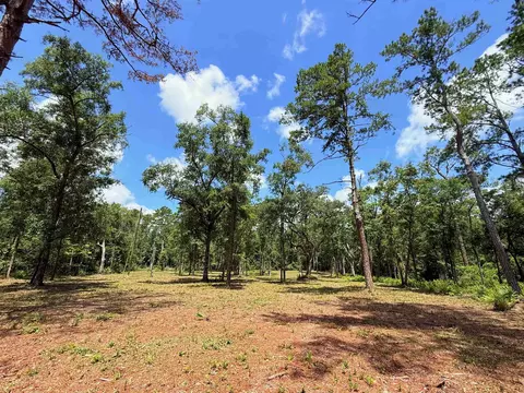 489 Ashville Highlands Dr, Greenville, FL 32331