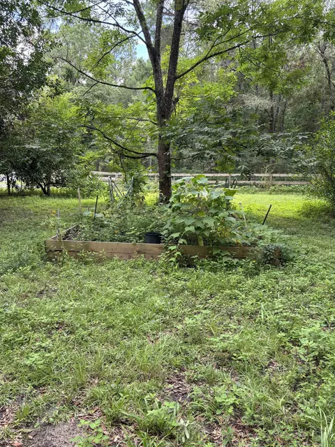 208 Robin Rd, Monticello, FL 32344 photo 11
