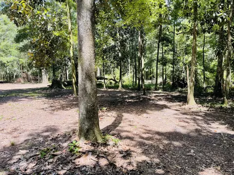 1169 Old Bumpy Rd, Tallahassee, FL 32317
