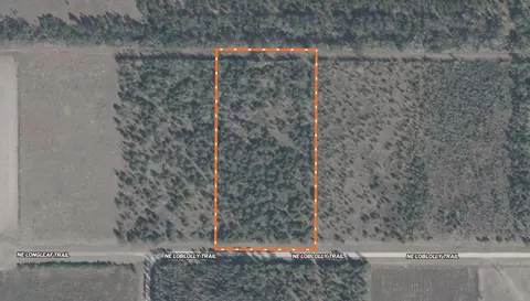 Vacant NE Loblolly Trail, Lee, FL 32059