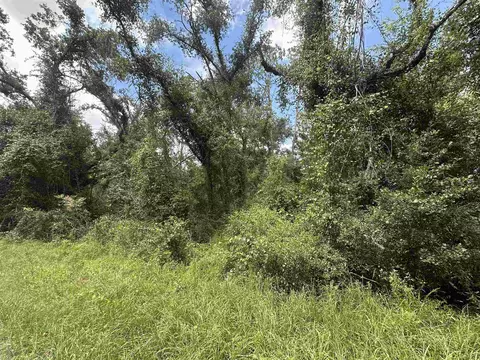 Nnn NE River Country Trail, Lee, FL 32059