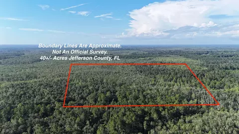 670 Bailey Rd, Greenville, FL 32331