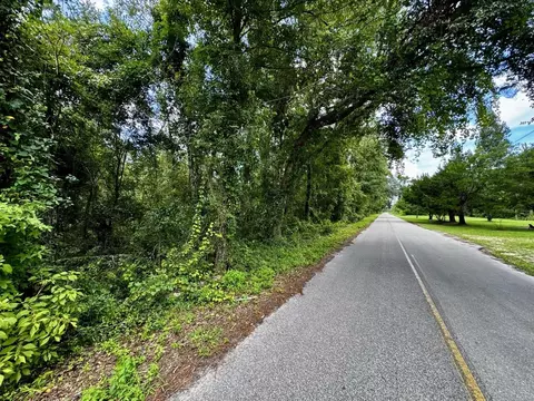 Vacant Luther Wilson Road, Greenville, FL 32331