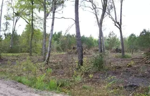 Vista Road, Monticello, FL 32344
