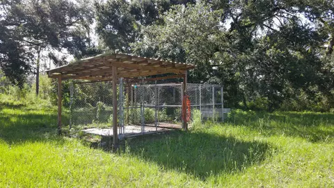 Exterior - 2236 Wright Rd, Perry, FL 32347 photo 10 of 10