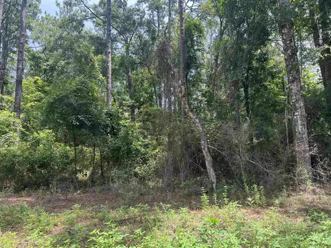 0 Neeley Rd, Crawfordville, FL 32327