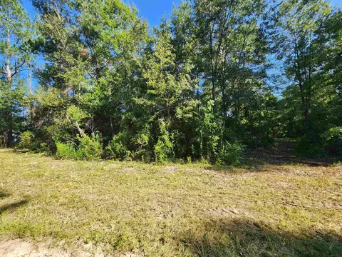 15189 NW Lake Mystic Church Rd, Bristol, FL 32321