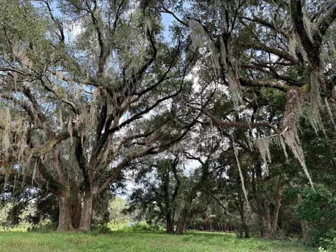 0 Walnut Grove Ct, Tallahassee, FL 32305