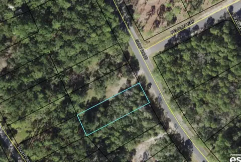 Nn Surf Road, Panacea, FL 32346