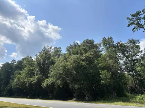 Nnnn Dr Mlk Jr Memorial, Crawfordville, FL 32327