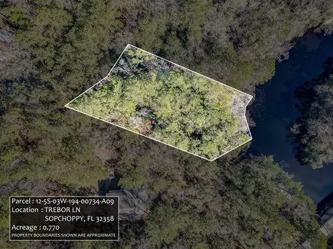 lot9 Trebor Ln, Sopchoppy, FL 32358
