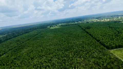 tbd SW Cr 141 Hwy, Jasper, FL 32305