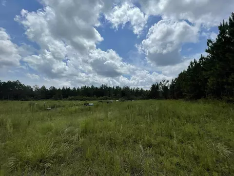 Nn Otter Creek Road, Sopchoppy, FL 32358