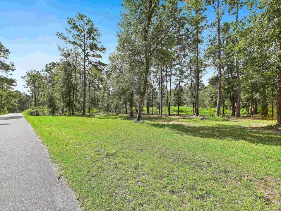  2169 SW Wonderwood St, Greenville, FL 32331 photo 3