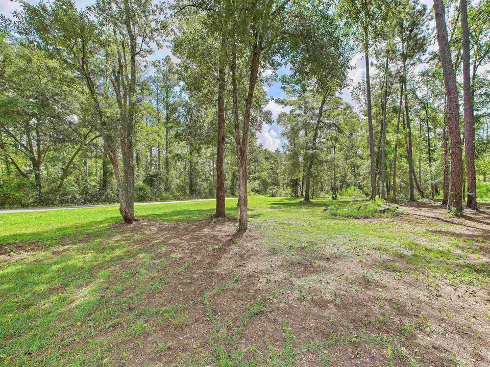  2169 SW Wonderwood St, Greenville, FL 32331 photo 4