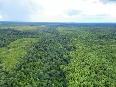 Nnn NW Longleaf, Bristol, FL 32321