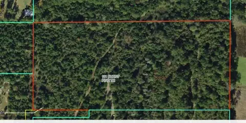 111 Burnt Pine Trl, Quincy, FL 32351