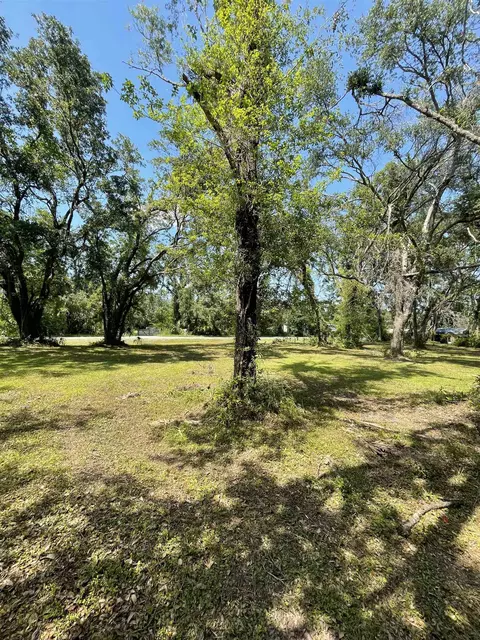 217 Leon Ward Rd, Perry, FL 32347 photo 3