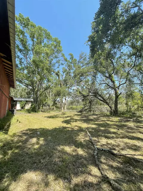 217 Leon Ward Rd, Perry, FL 32347 photo 7