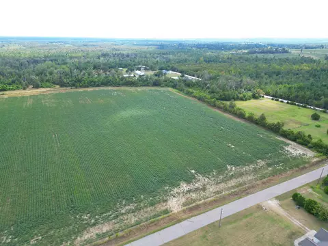 tbd NW Ashley Shiver Rd, Altha, FL 32421