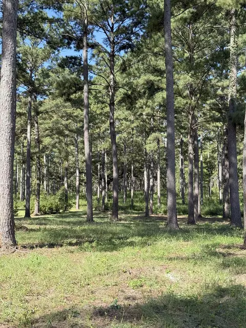 lot11 A Lake Pisgah Dr, Tallahassee, FL 32309