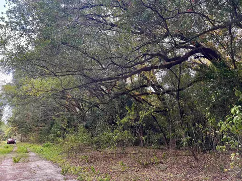 lot Apt 2 Glory Rd, Quincy, FL 32352 photo 4