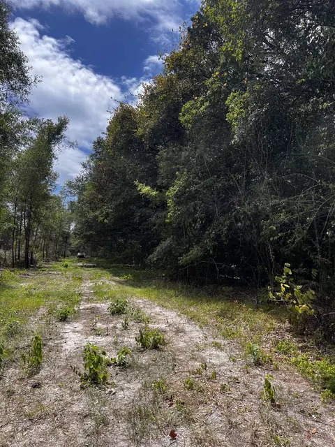 lot Apt 2 Glory Rd, Quincy, FL 32352 photo 5