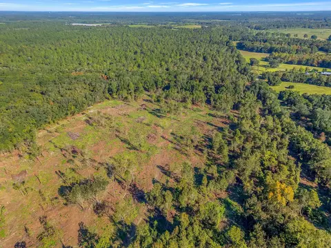 lot Apt 2 Glory Rd, Quincy, FL 32352 photo 8