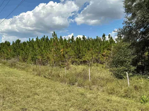 tbd S Cr 53, Madison, FL 32340 photo 13