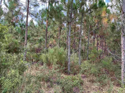 tbd S Cr 53, Madison, FL 32340 photo 3