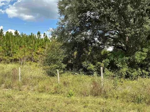tbd S Cr 53, Madison, FL 32340 photo 12