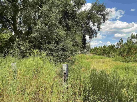 tbd S Cr 53, Madison, FL 32340 photo 9