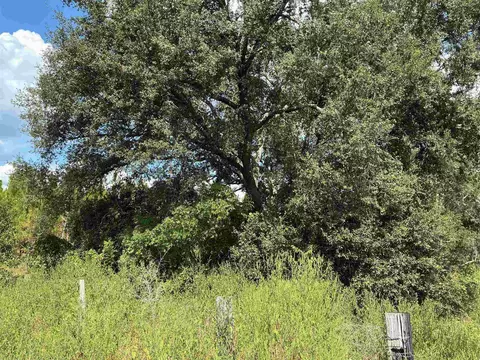 tbd S Cr 53, Madison, FL 32340 photo 10