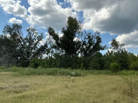 tbd S Cr 53, Madison, FL 32340 photo 8