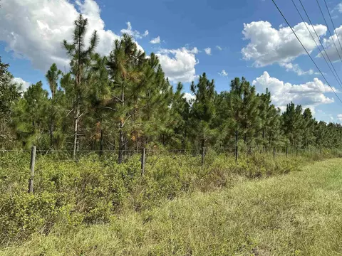 tbd S Cr 53, Madison, FL 32340 photo 14