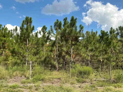 tbd S Cr 53, Madison, FL 32340 photo 7