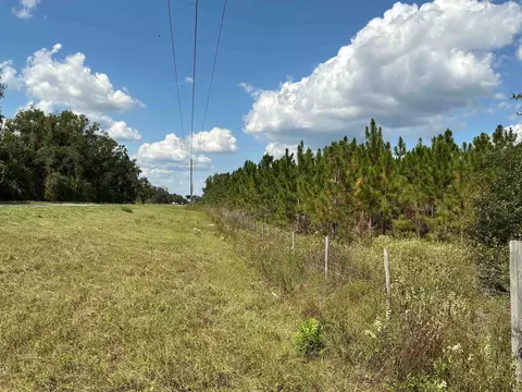 tbd S Cr 53, Madison, FL 32340 photo 6
