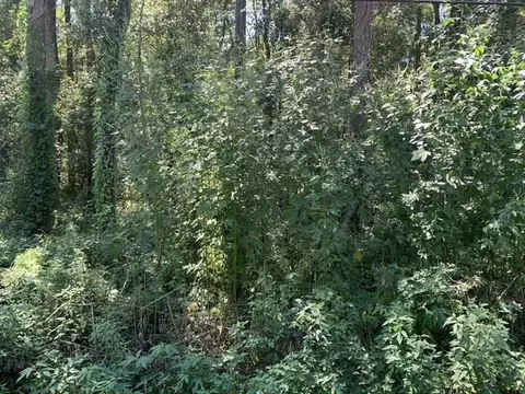 0 Buck Lake Rd, Tallahassee, FL 32317