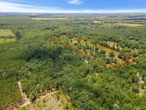 tbd NE Cedar Trl, Pinetta, FL 32350