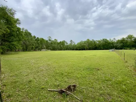 Vacant NE Bellville Road, Pinetta, FL 32350