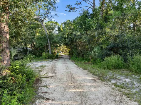 X Clark Drive, Panacea, FL 32346 photo 6
