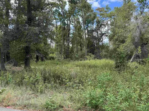 Nnn Cactus Street, Tallahassee, FL 32304
