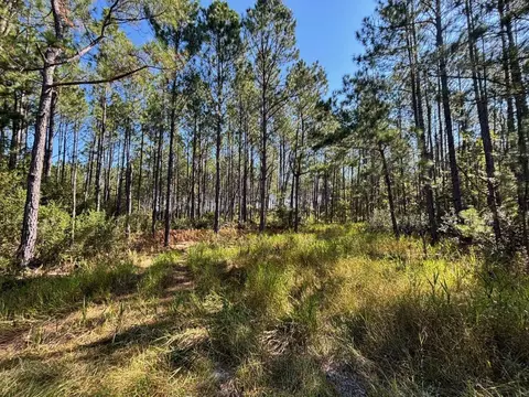 1570 SW Wabasso Ter, Greenville, FL 32331