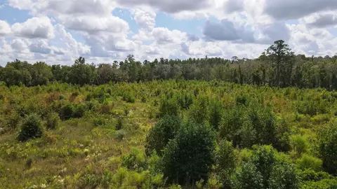 tbd NE 36th Drive Dr, Jasper, FL 32052 photo 21