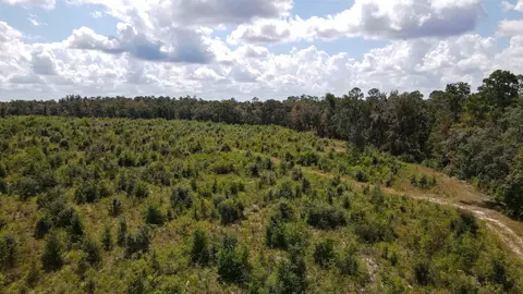 tbd NE 36th Drive Dr, Jasper, FL 32052 photo 13